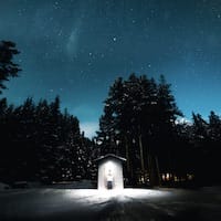 10007